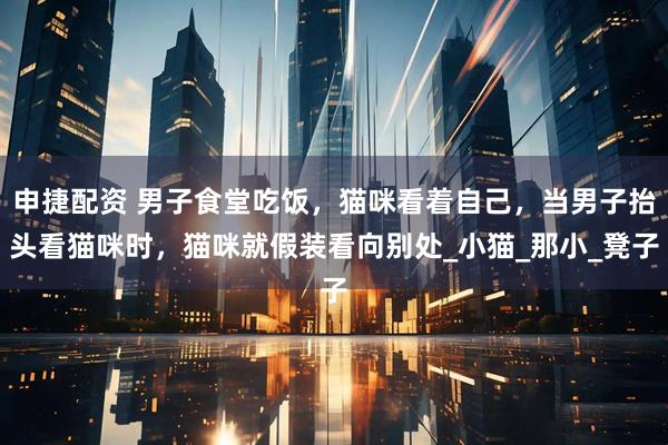 申捷配资 男子食堂吃饭,猫咪看着自己,当男子抬头看猫咪时,猫咪就假装看向别处_小猫_那小_凳子