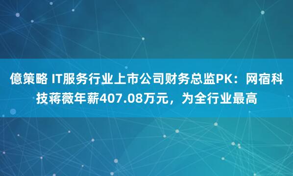 億策略 IT服务行业上市公司财务总监PK:网宿科技蒋薇年薪407.08万元,为全行业最高