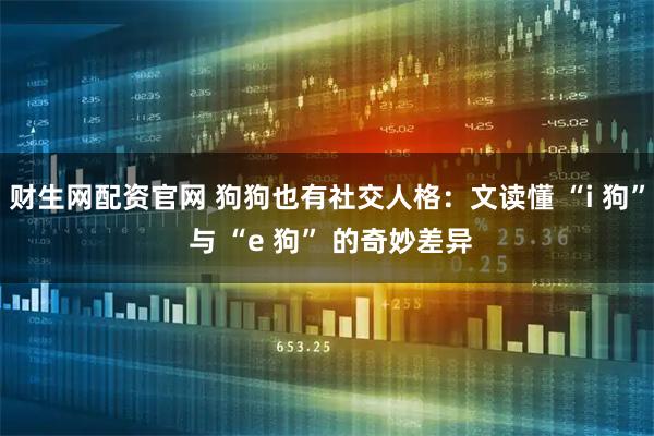 财生网配资官网 狗狗也有社交人格:文读懂 “i 狗” 与 “e 狗” 的奇妙差异